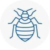 Bed Bug Extermination In Eccleston