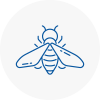 Bee Nest Removal Eccleston