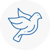 Bird Prevention Eccleston