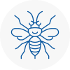 Eccleston Hornet Nest Removals