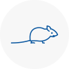 Mice Exterminators In Eccleston