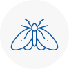 Moth Control Specialists In Eccleston