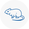 Rat Control Eccleston
