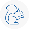 Eccleston Rodent Removals