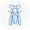 Eccleston Wasp Nest Removal
